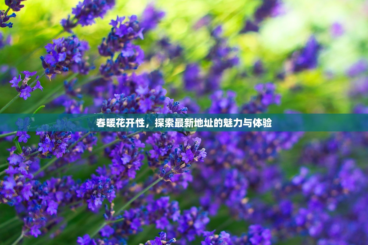 春暖花开性，探索最新地址的魅力与体验