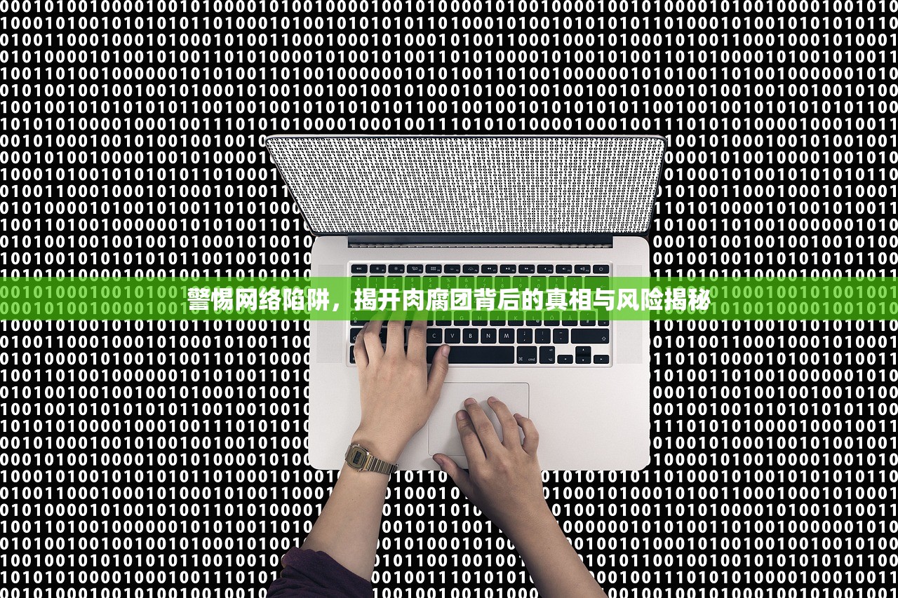 警惕网络陷阱，揭开肉腐团背后的真相与风险揭秘