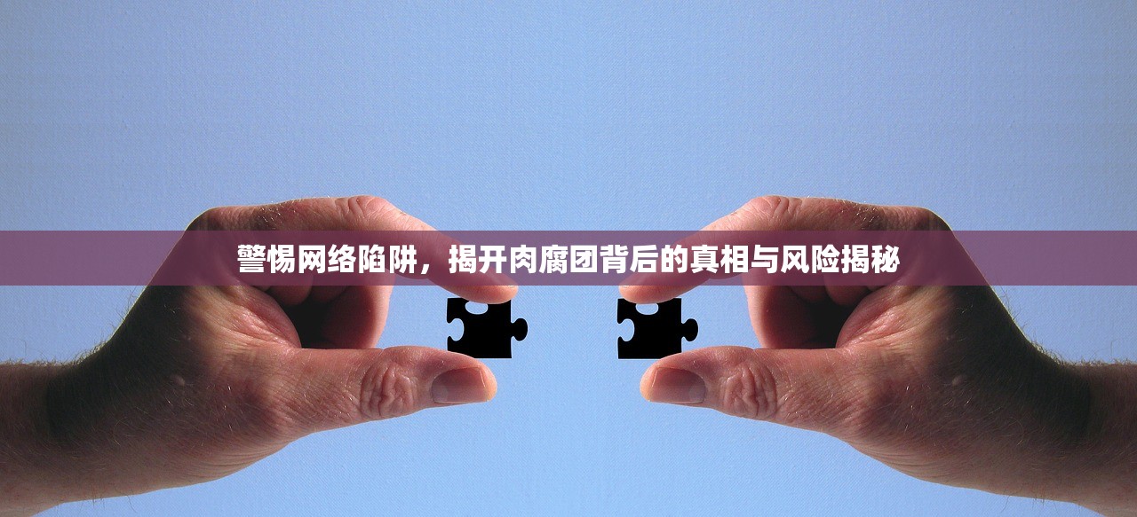 警惕网络陷阱，揭开肉腐团背后的真相与风险揭秘