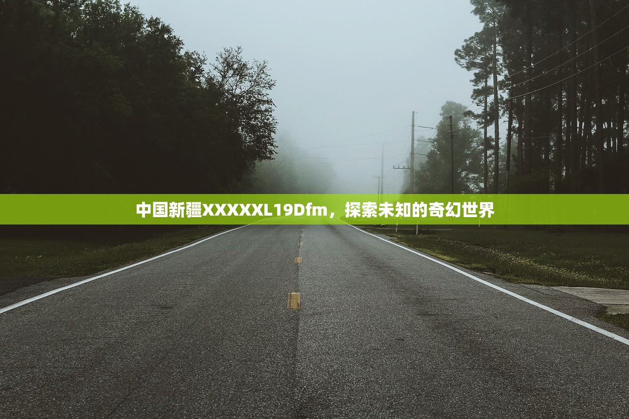 中国新疆XXXXXL19Dfm，探索未知的奇幻世界