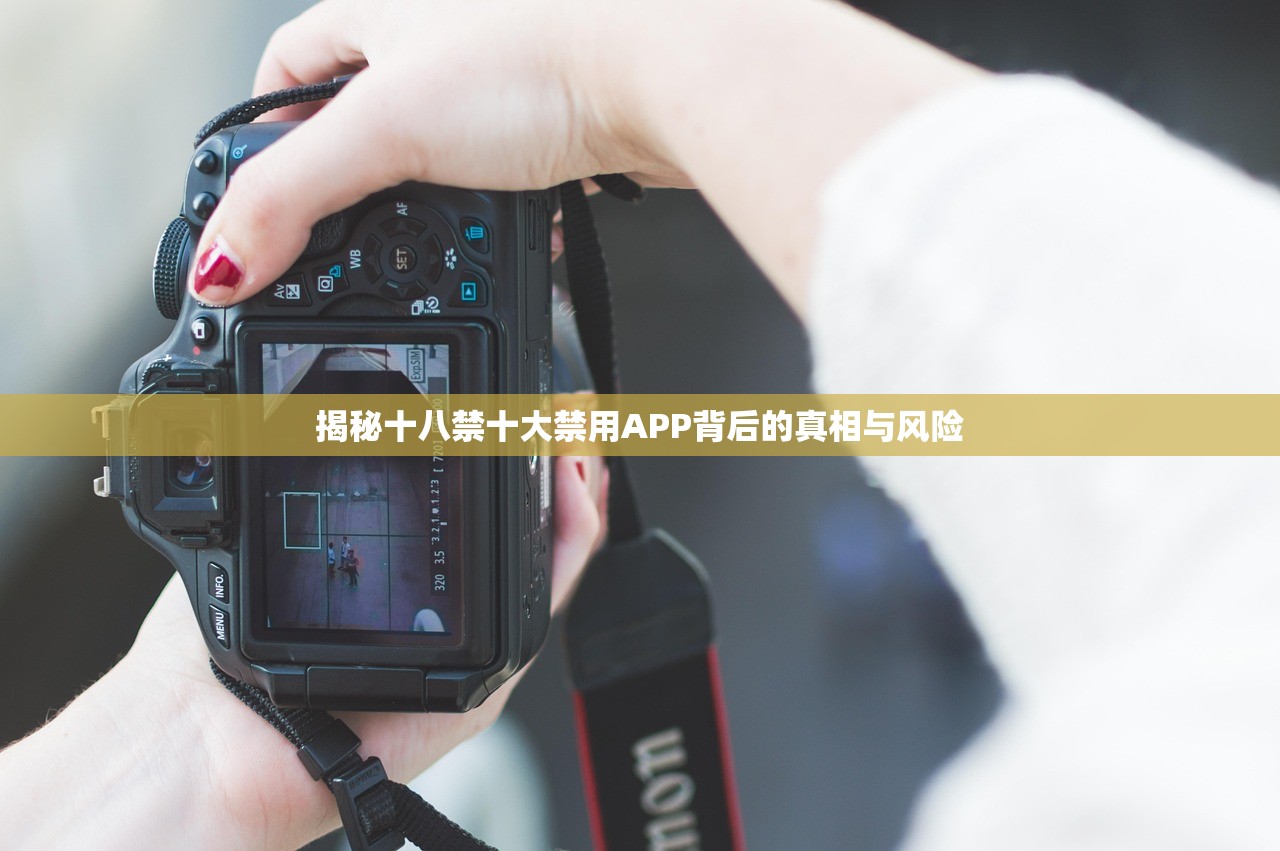 揭秘十八禁十大禁用APP背后的真相与风险