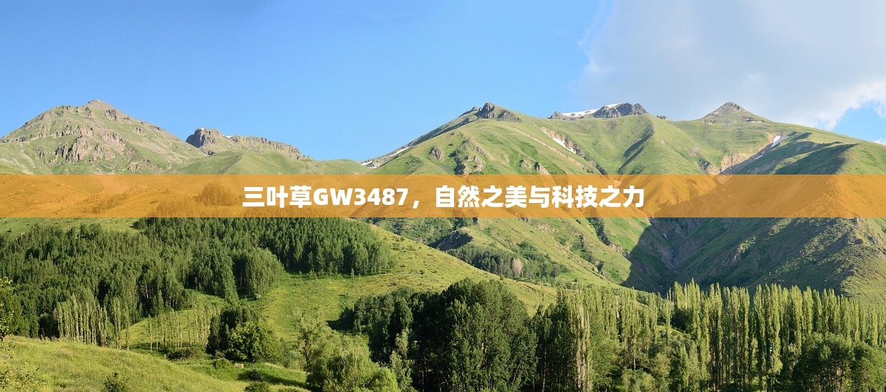 三叶草GW3487，自然之美与科技之力