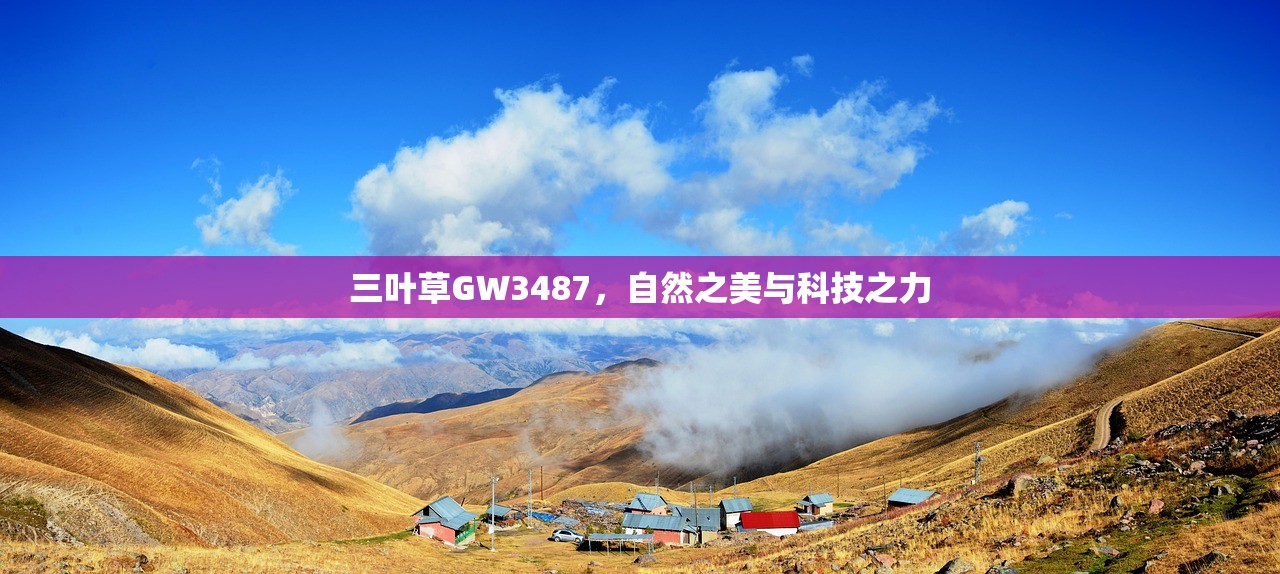 三叶草GW3487，自然之美与科技之力