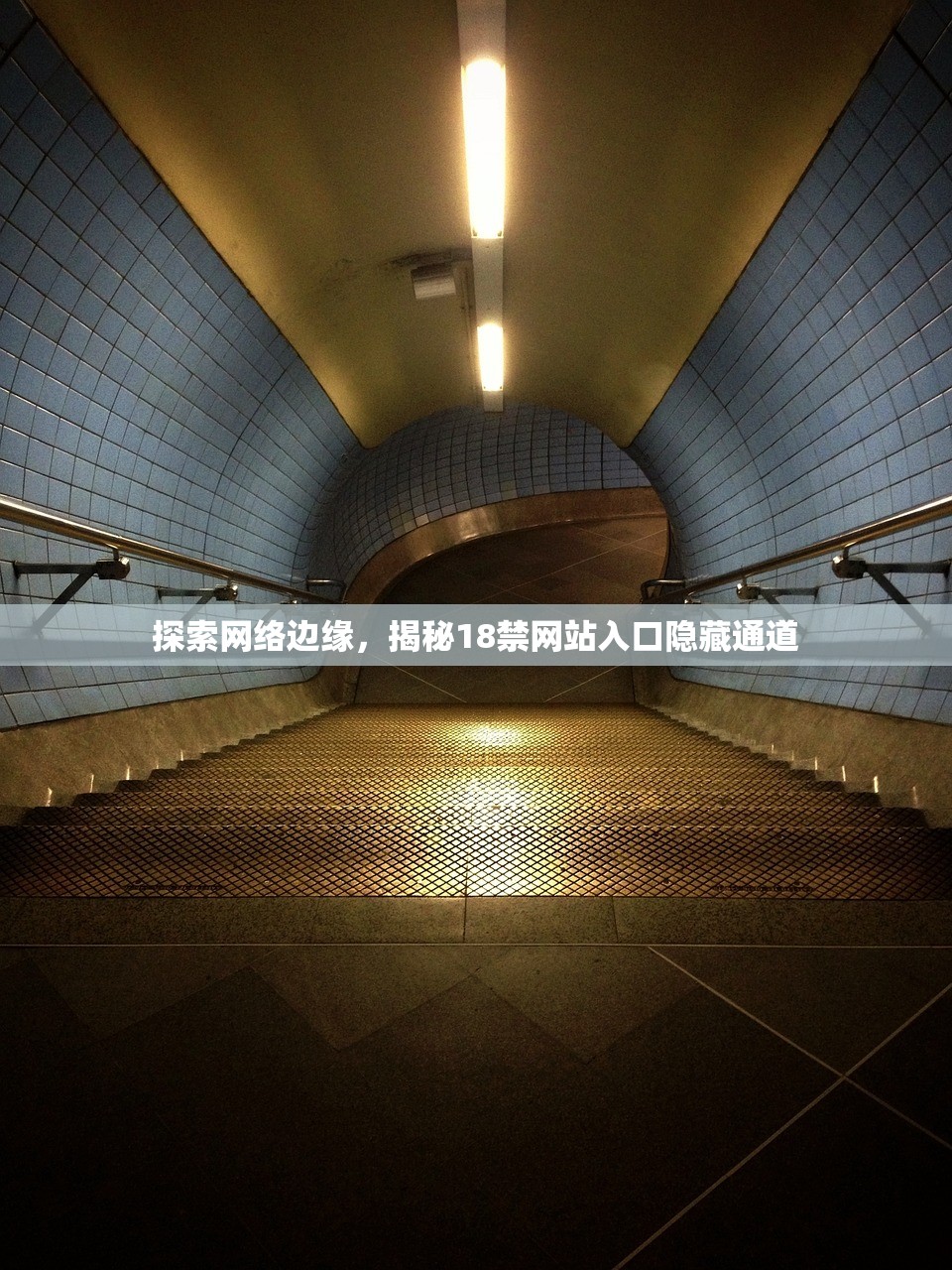 探索网络边缘，揭秘18禁网站入口隐藏通道