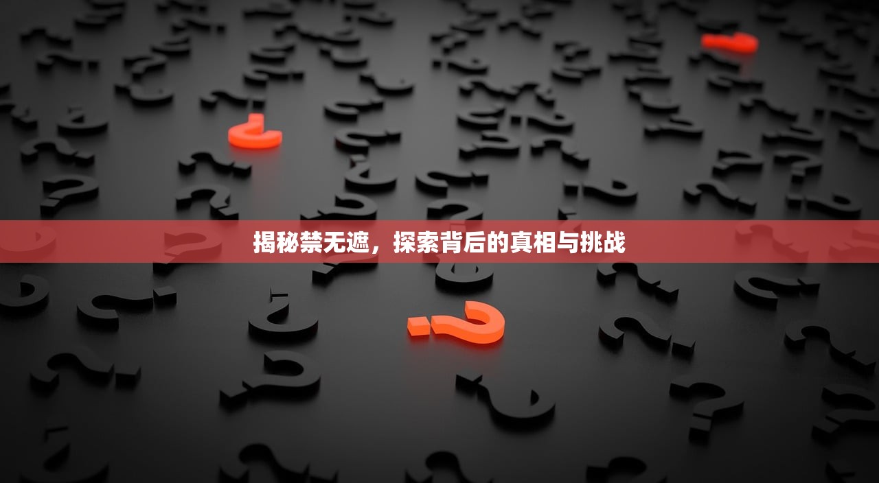 揭秘禁无遮，探索背后的真相与挑战