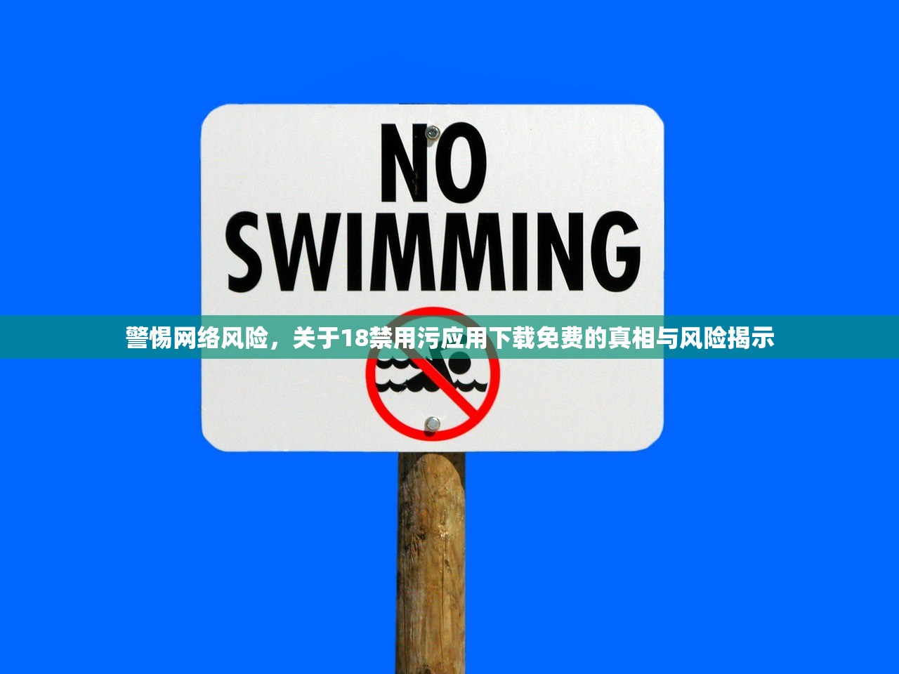 警惕网络风险，关于18禁用污应用下载免费的真相与风险揭示