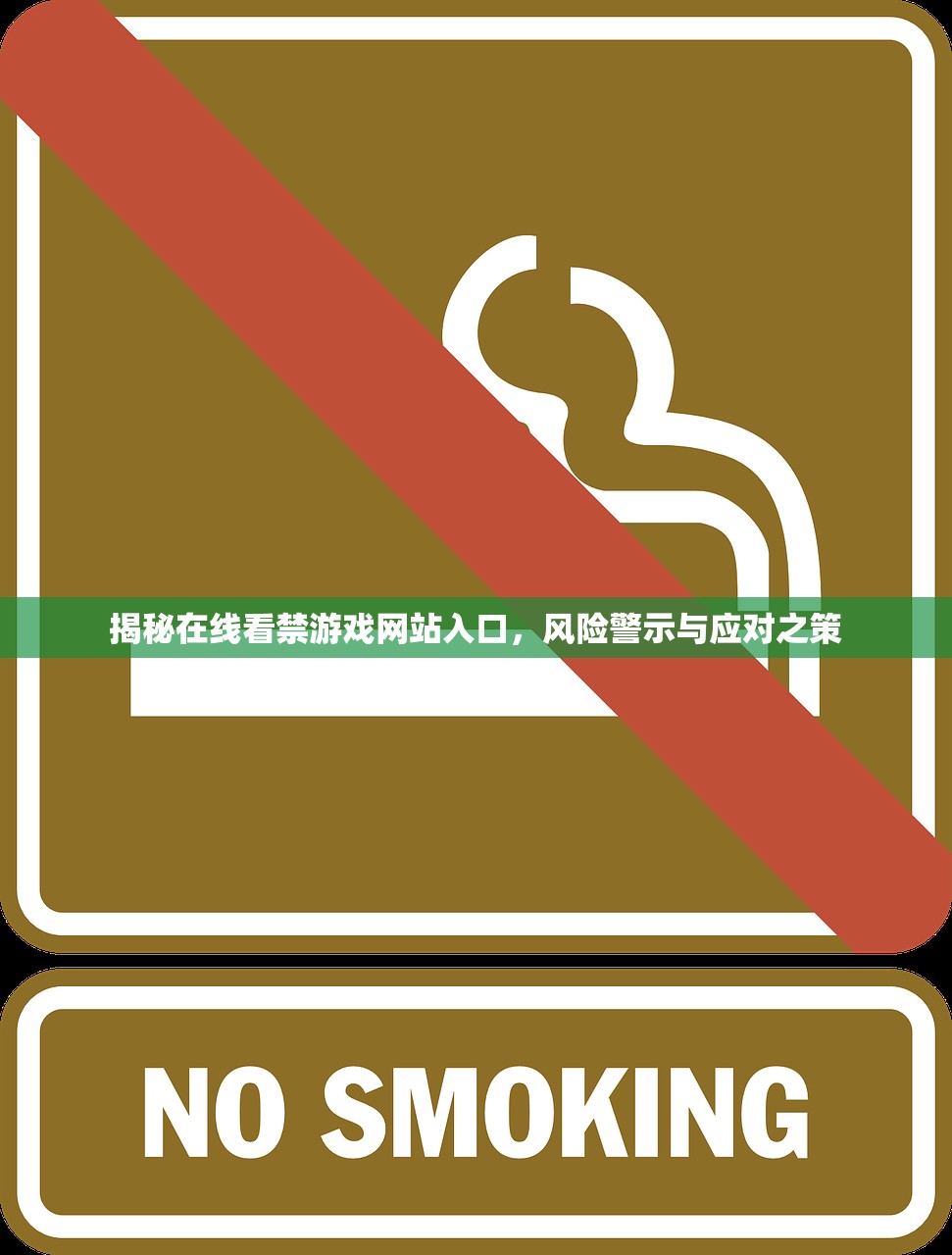 揭秘在线看禁游戏网站入口，风险警示与应对之策