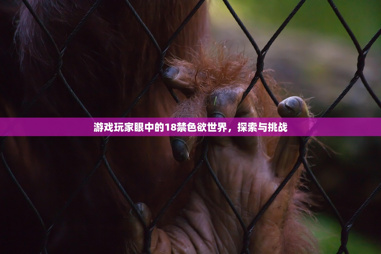 游戏玩家眼中的18禁色欲世界，探索与挑战