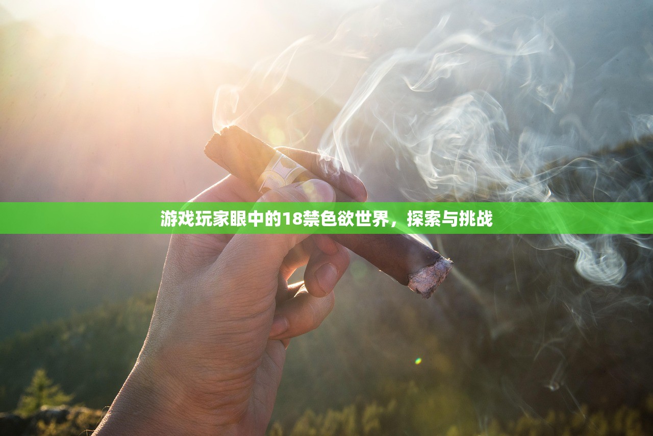 游戏玩家眼中的18禁色欲世界，探索与挑战