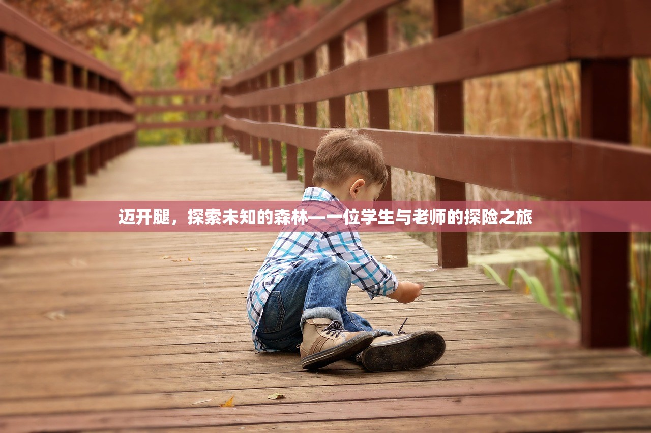 迈开腿，探索未知的森林—一位学生与老师的探险之旅