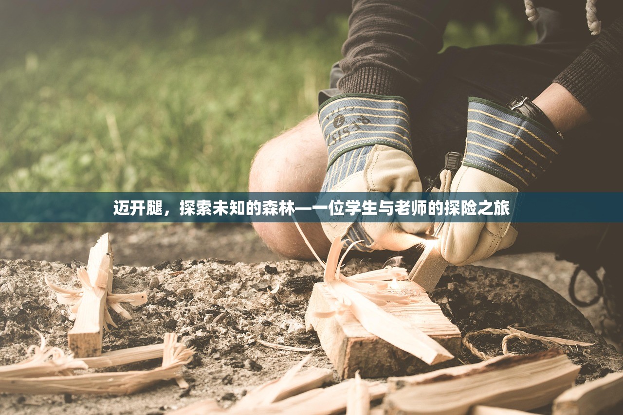 迈开腿，探索未知的森林—一位学生与老师的探险之旅