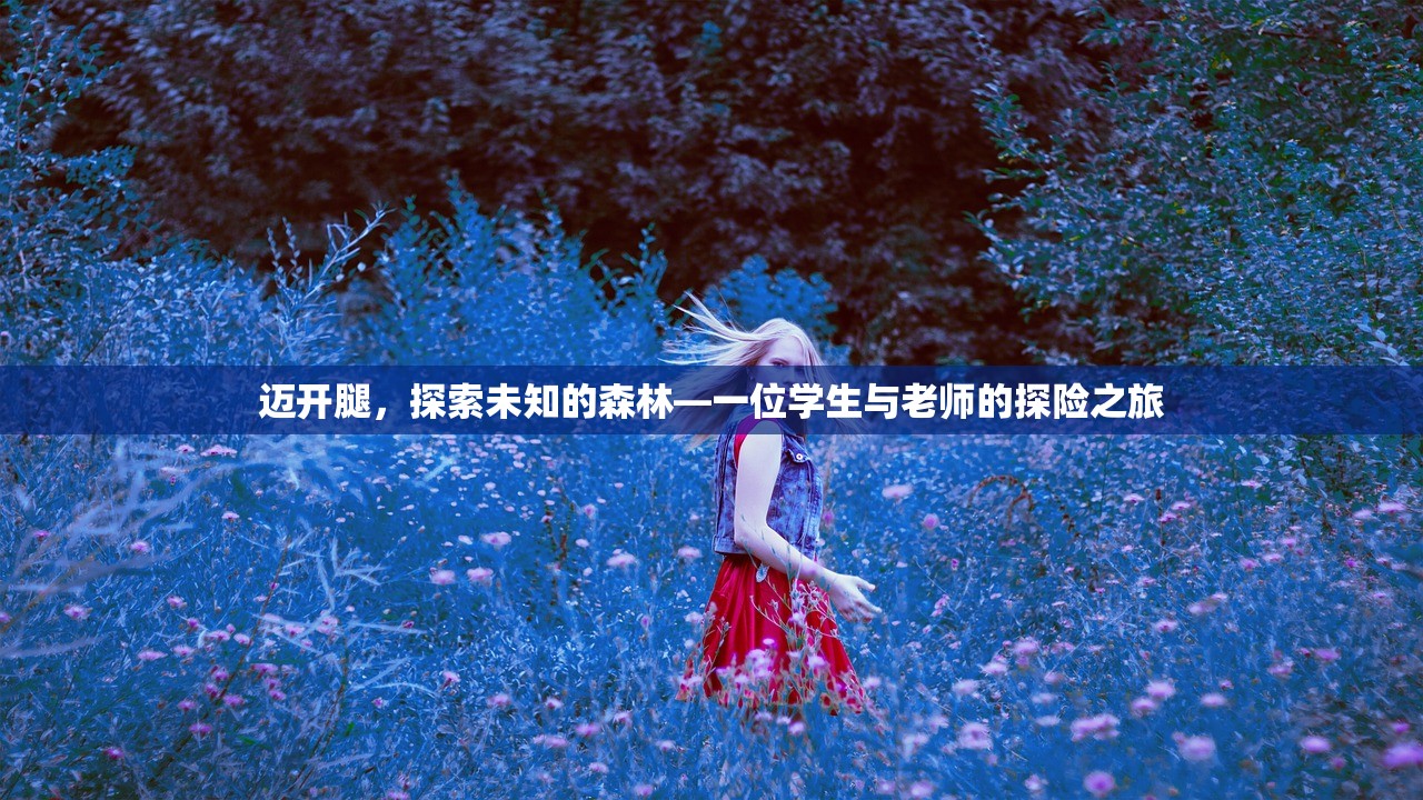 迈开腿，探索未知的森林—一位学生与老师的探险之旅