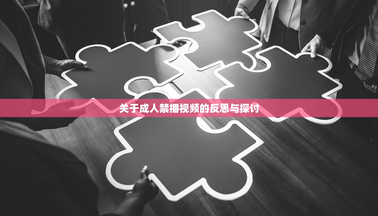 关于成人禁播视频的反思与探讨