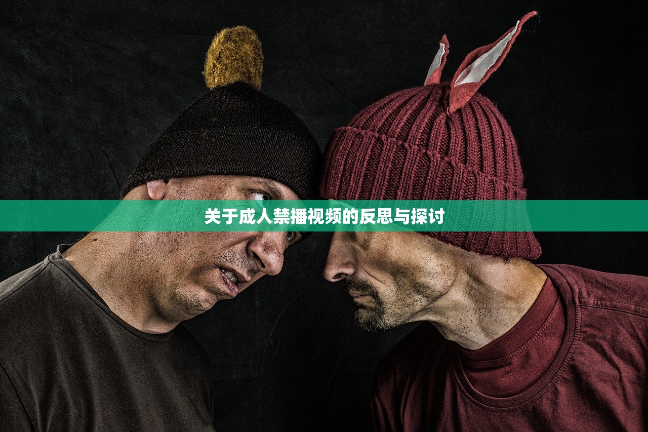 关于成人禁播视频的反思与探讨