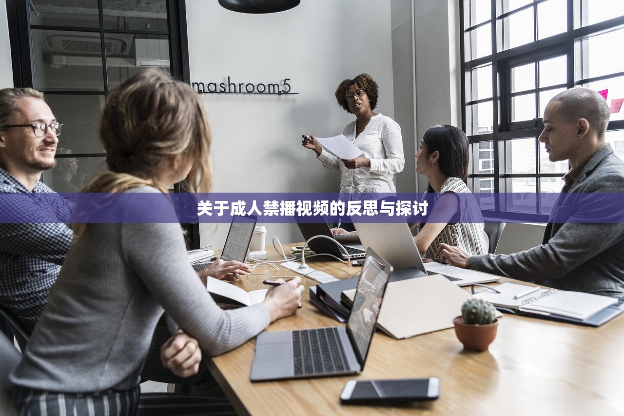 关于成人禁播视频的反思与探讨