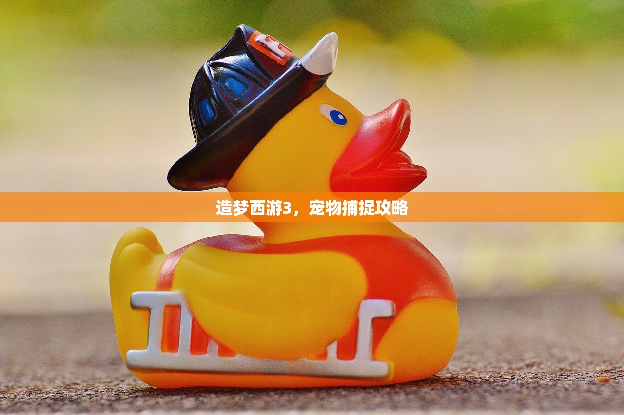 造梦西游3，宠物捕捉攻略