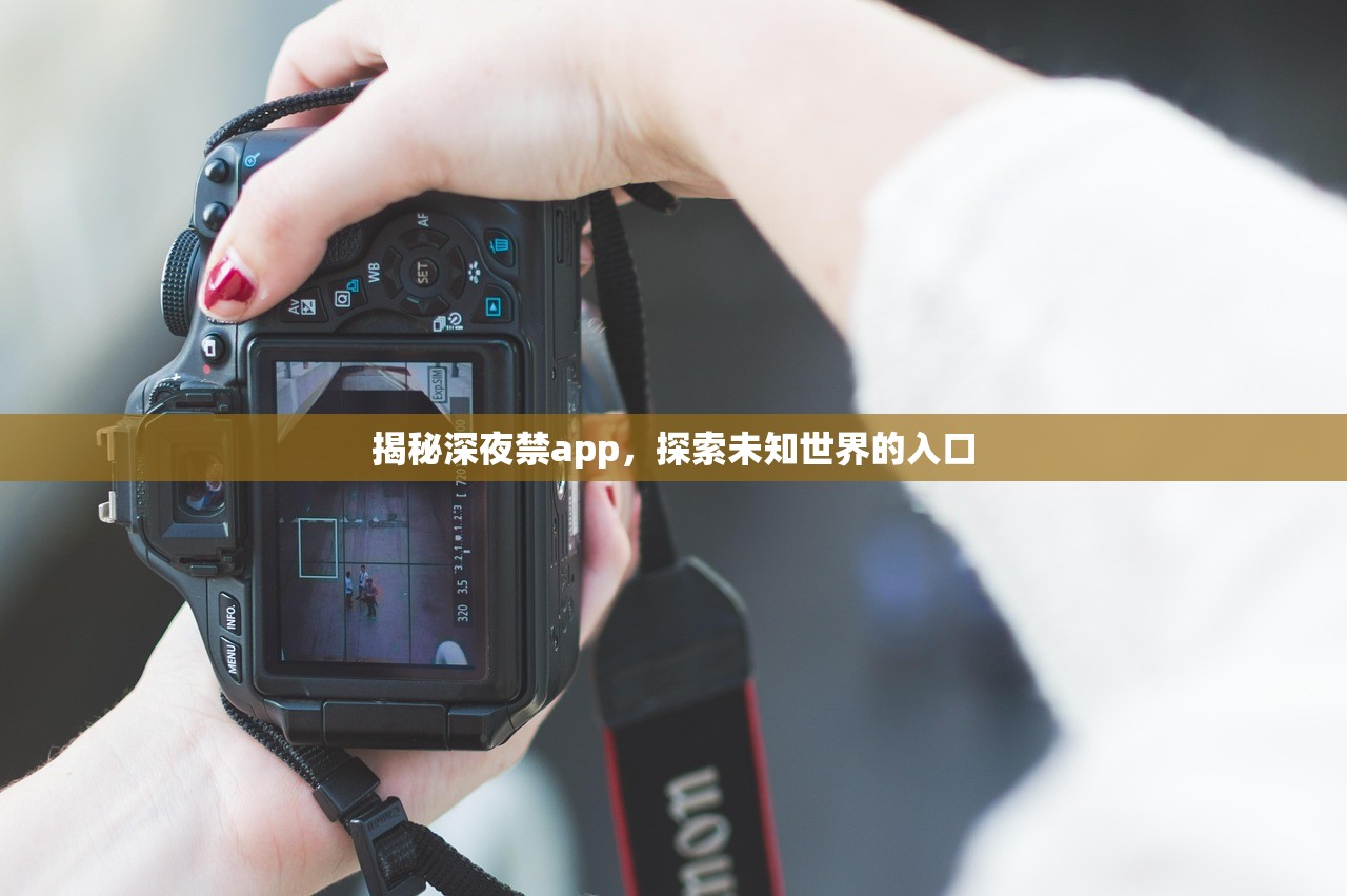揭秘深夜禁app，探索未知世界的入口