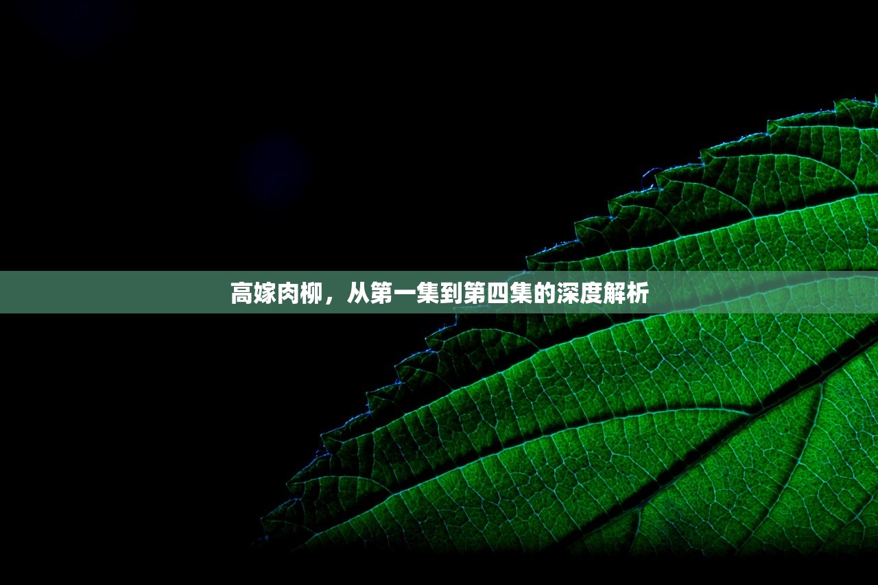 高嫁肉柳，从第一集到第四集的深度解析