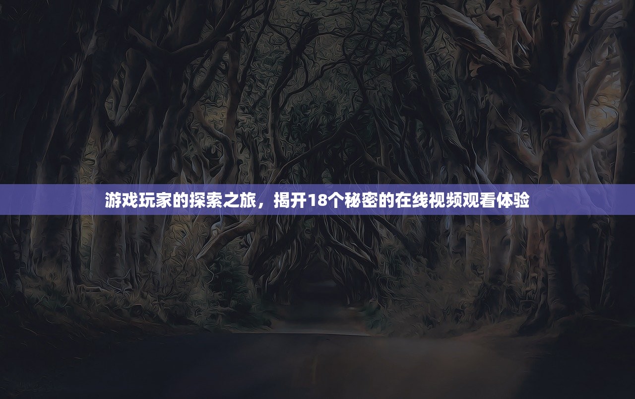 游戏玩家的探索之旅，揭开18个秘密的在线视频观看体验