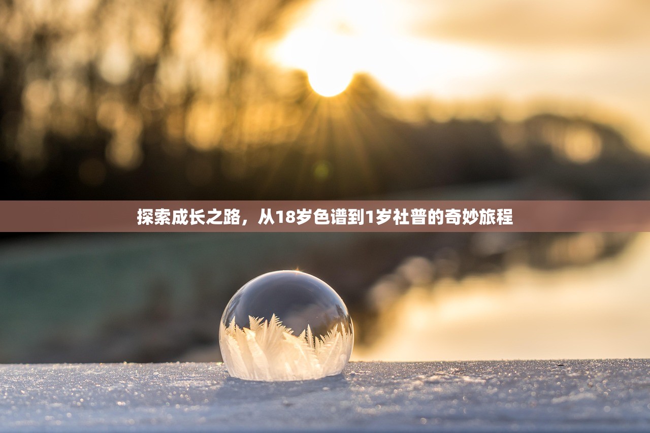 探索成长之路，从18岁色谱到1岁社普的奇妙旅程