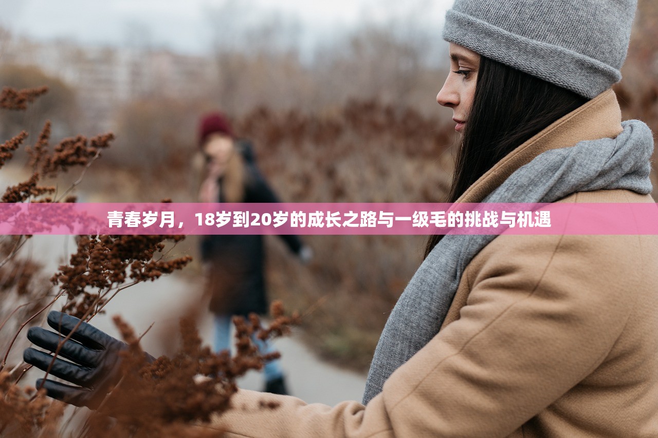 青春岁月，18岁到20岁的成长之路与一级毛的挑战与机遇