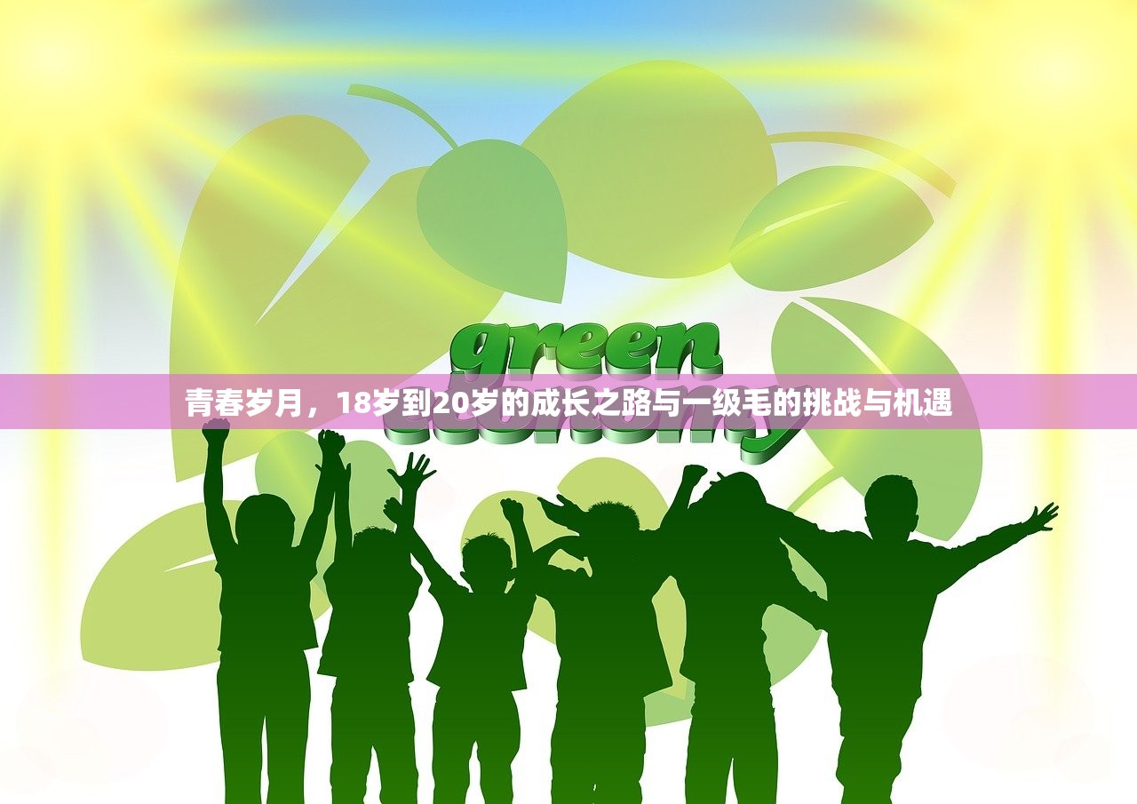 青春岁月，18岁到20岁的成长之路与一级毛的挑战与机遇
