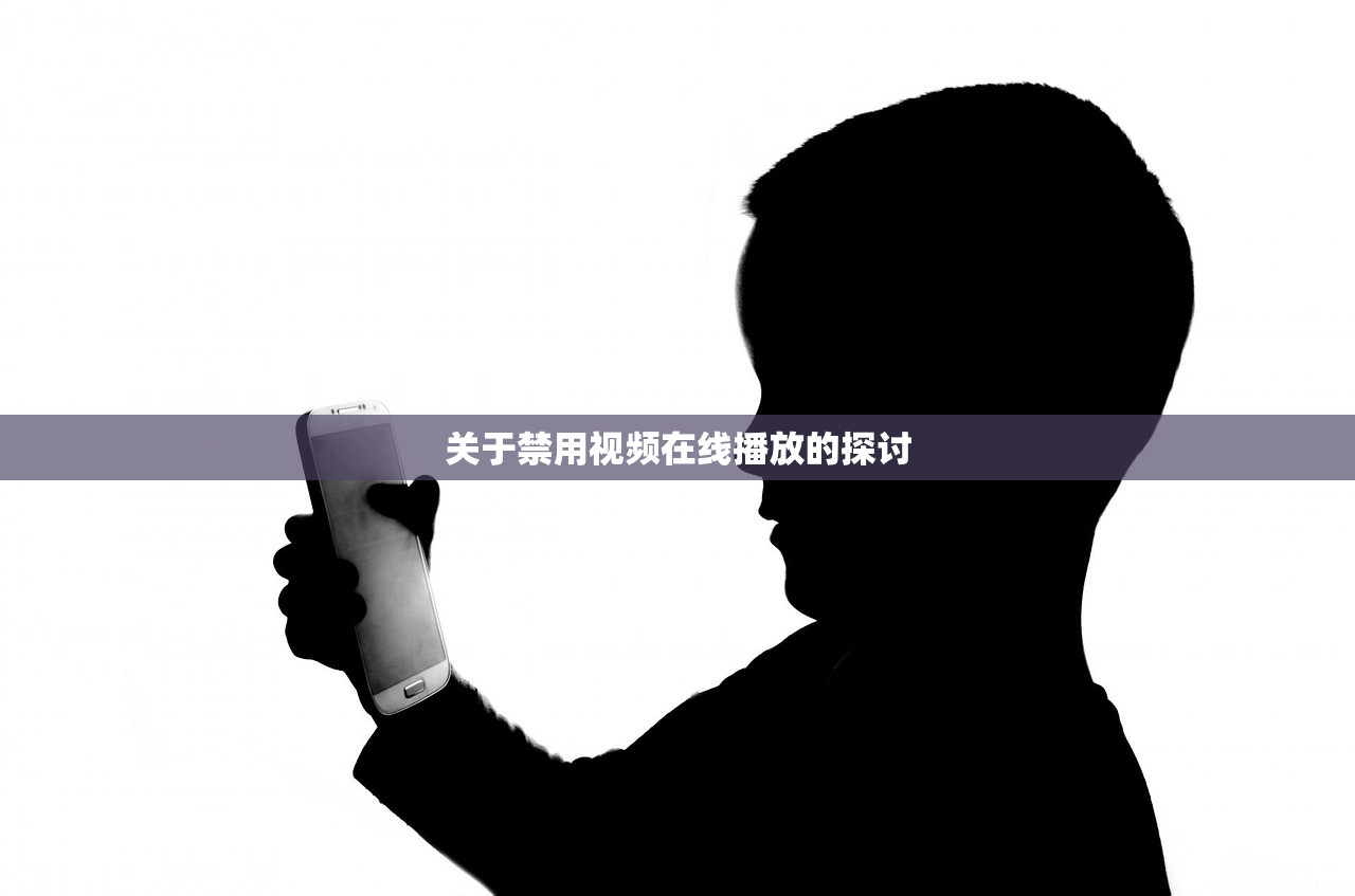 关于禁用视频在线播放的探讨