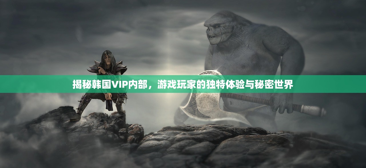 揭秘韩国VIP内部，游戏玩家的独特体验与秘密世界
