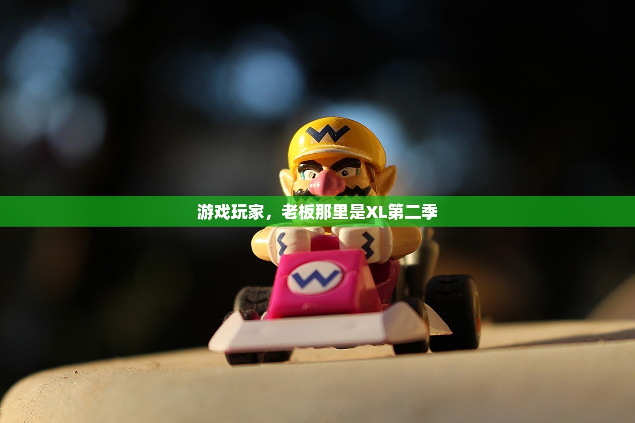 游戏玩家，老板那里是XL第二季