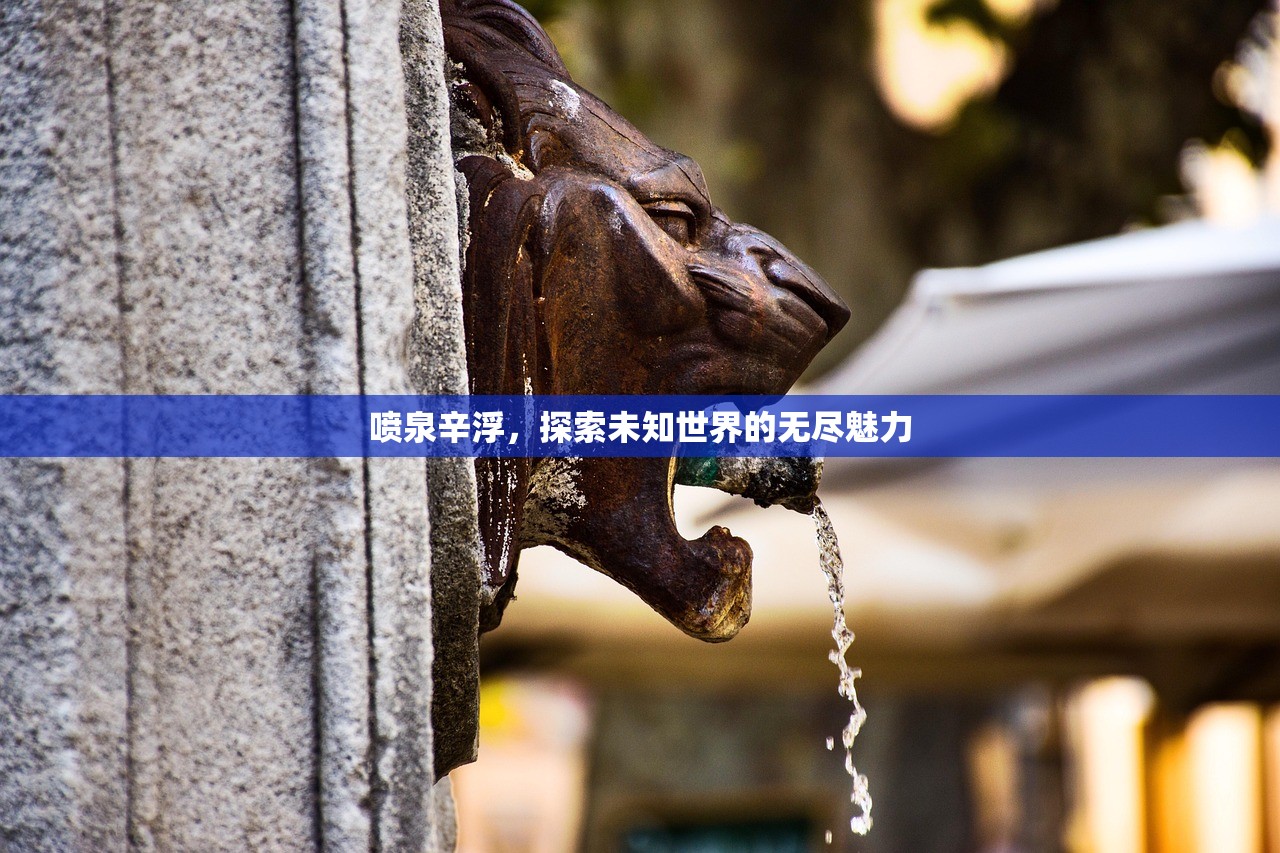 喷泉辛浮，探索未知世界的无尽魅力