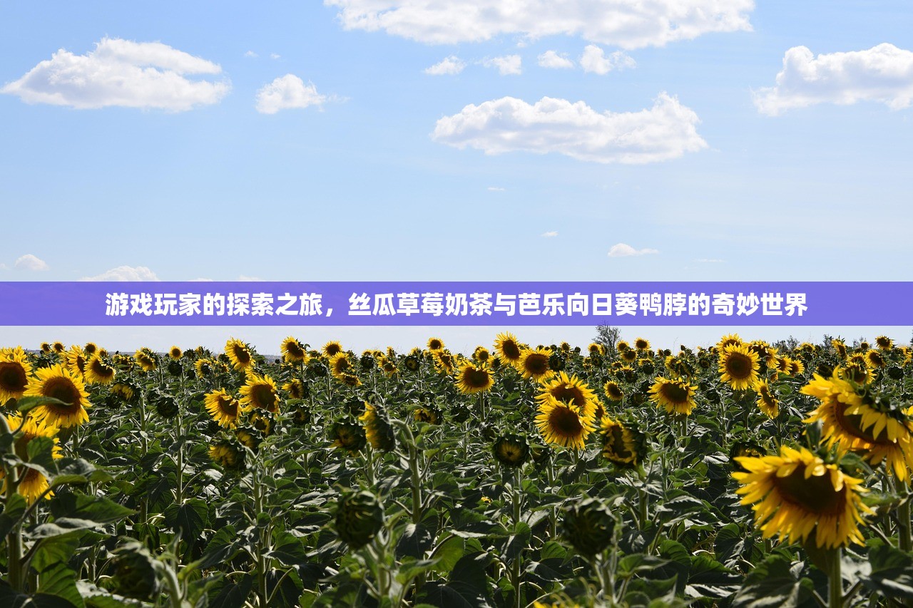 游戏玩家的探索之旅，丝瓜草莓奶茶与芭乐向日葵鸭脖的奇妙世界