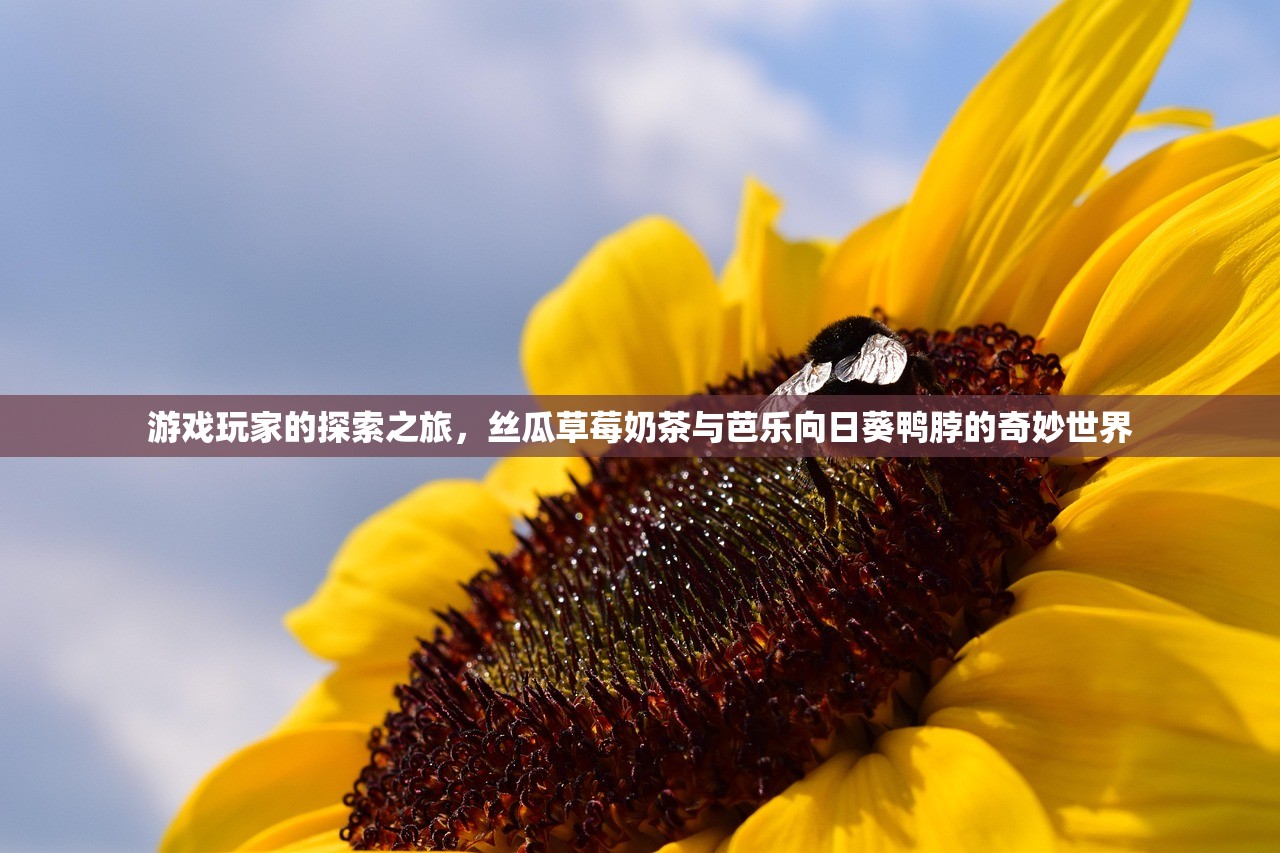 游戏玩家的探索之旅，丝瓜草莓奶茶与芭乐向日葵鸭脖的奇妙世界