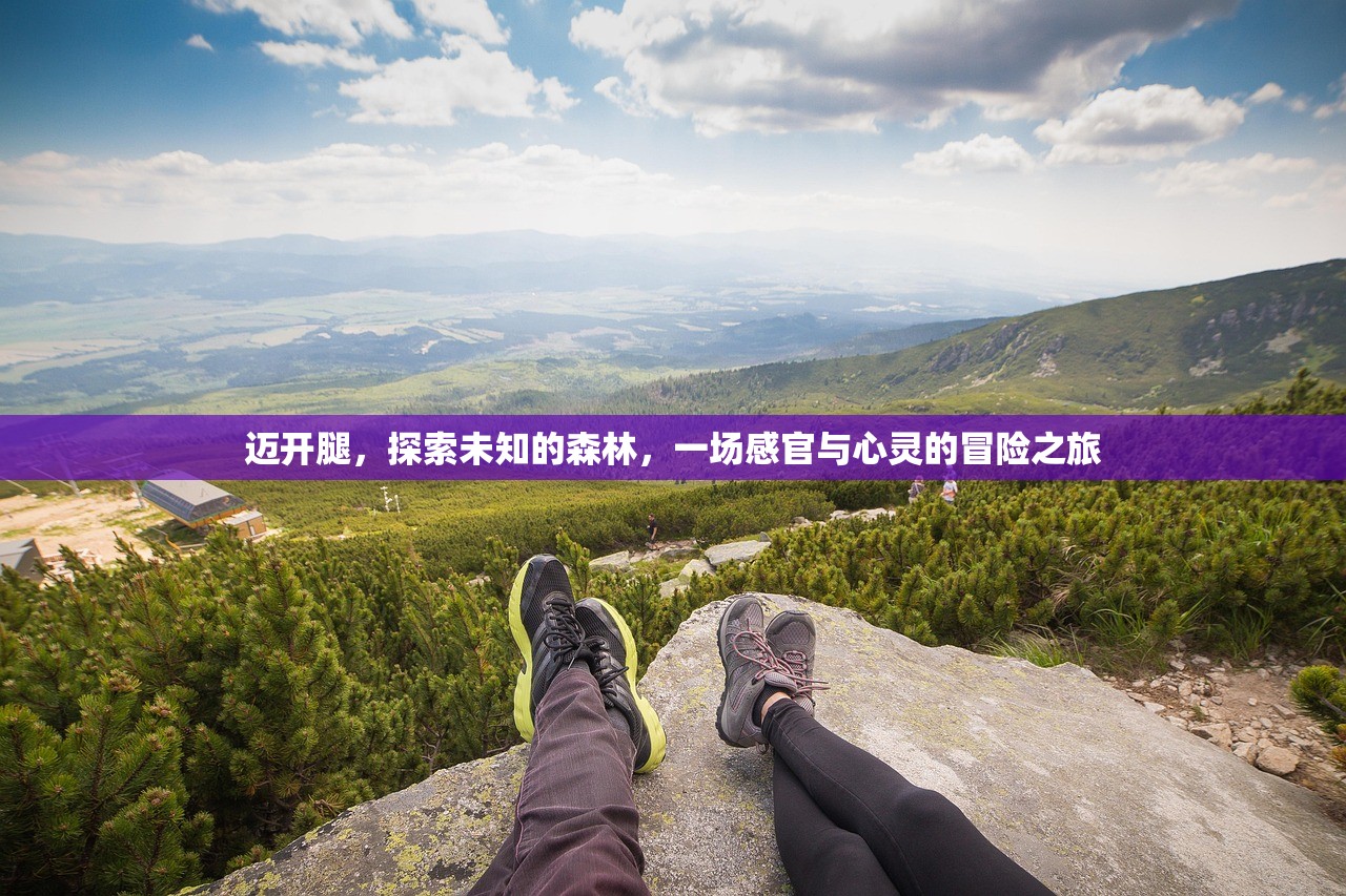 迈开腿，探索未知的森林，一场感官与心灵的冒险之旅