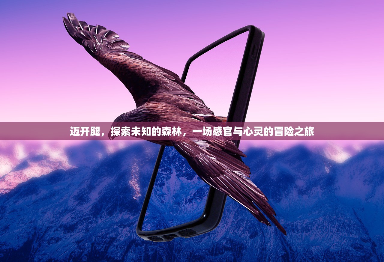 迈开腿，探索未知的森林，一场感官与心灵的冒险之旅