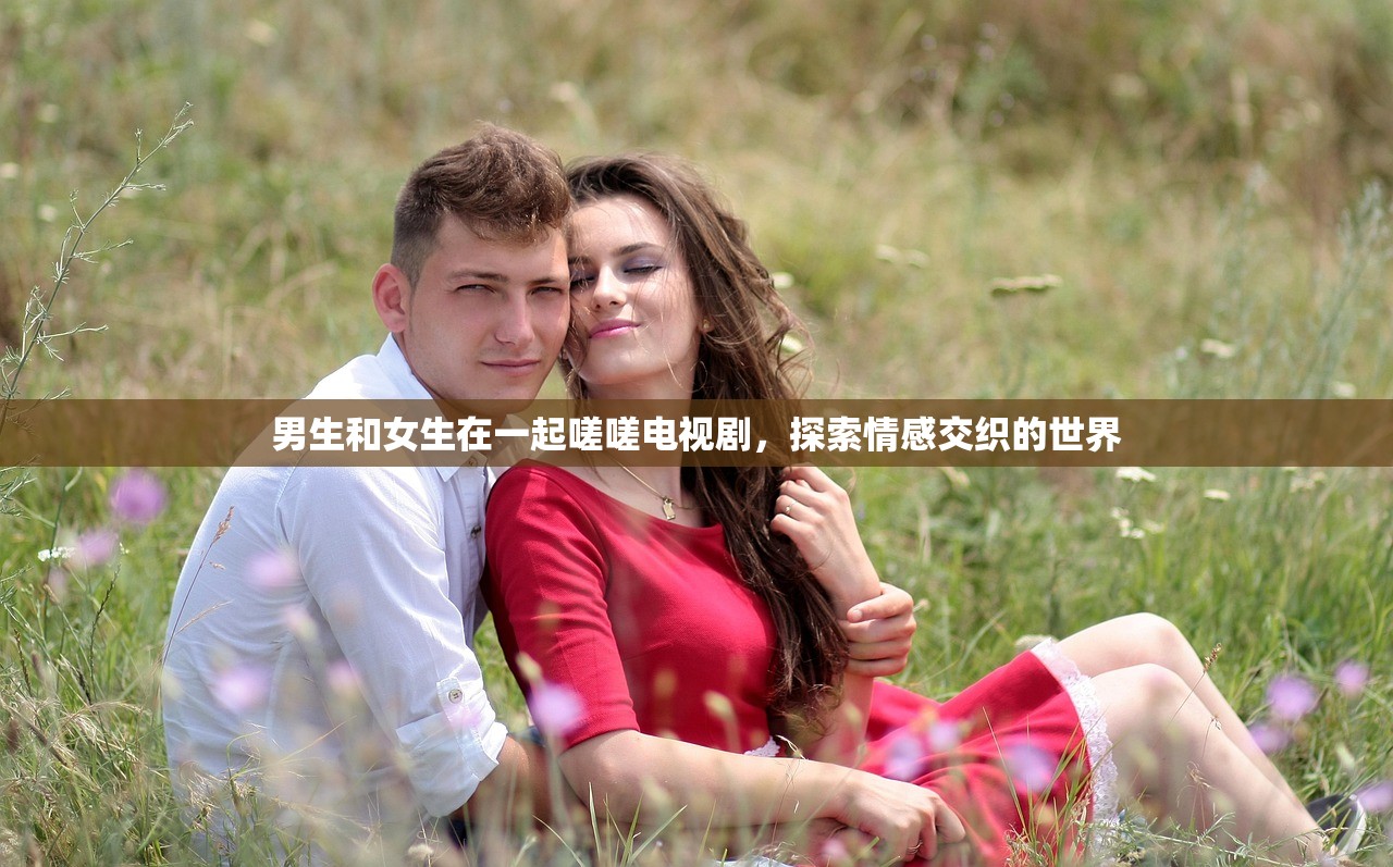 男生和女生在一起嗟嗟电视剧，探索情感交织的世界