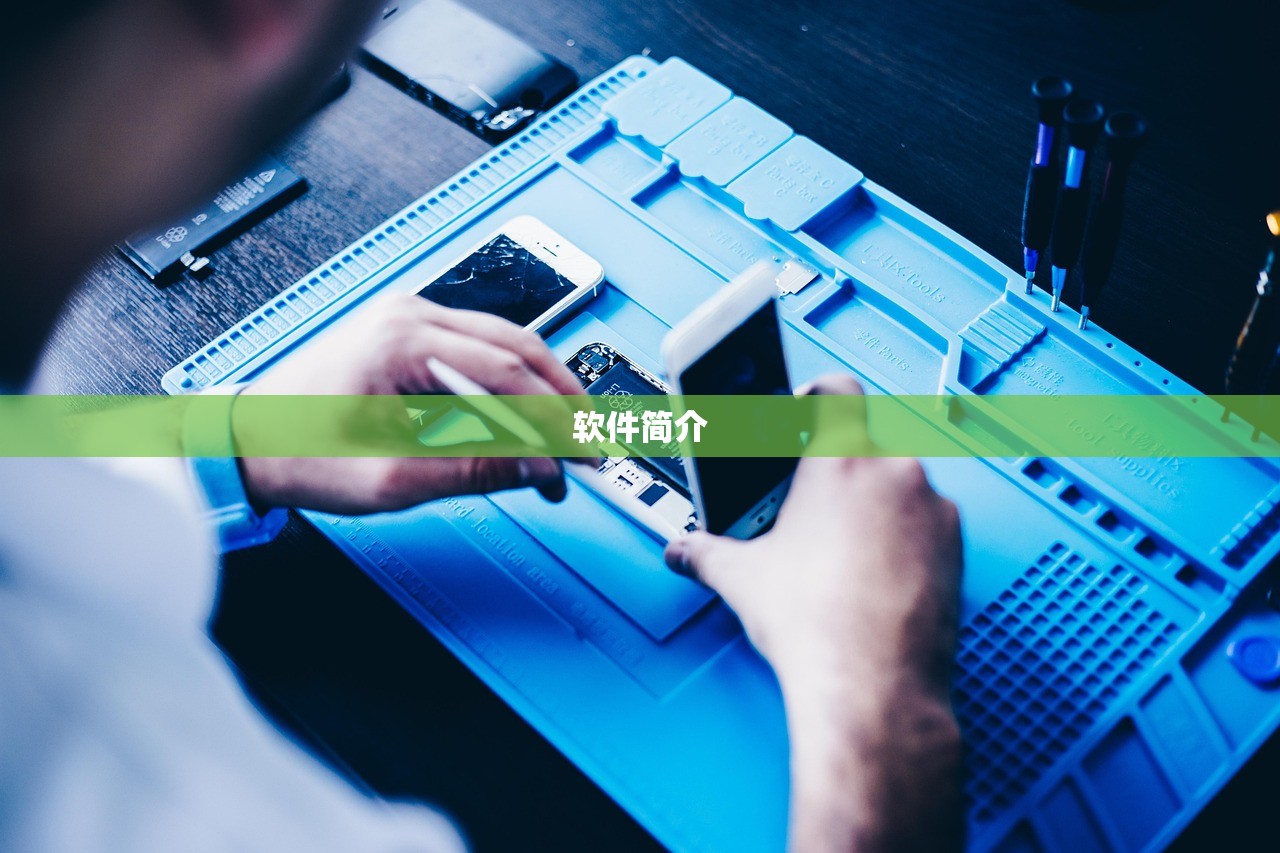 软件简介