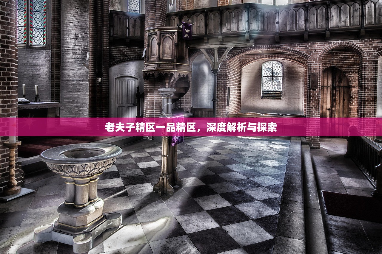 老夫子精区一品精区，深度解析与探索