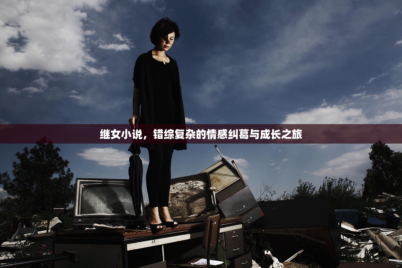 继女小说，错综复杂的情感纠葛与成长之旅