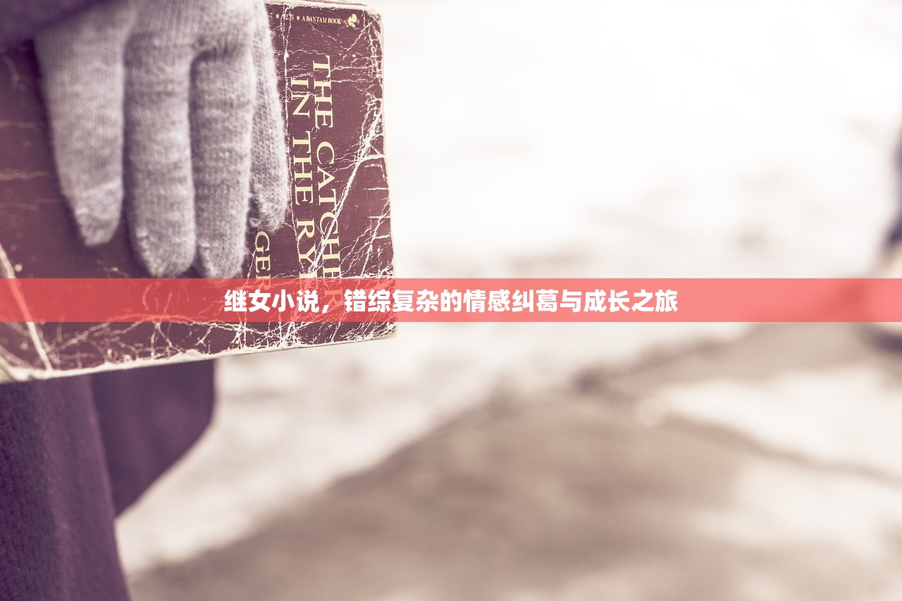 继女小说，错综复杂的情感纠葛与成长之旅