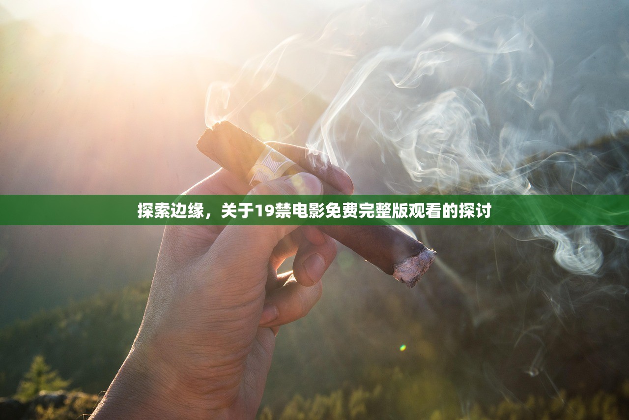 探索边缘，关于19禁电影免费完整版观看的探讨