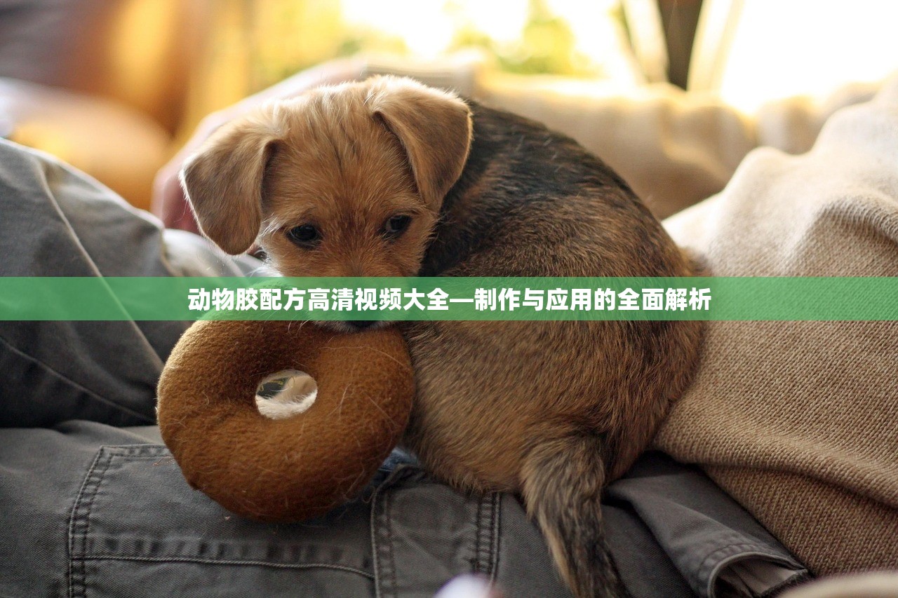 动物胶配方高清视频大全—制作与应用的全面解析