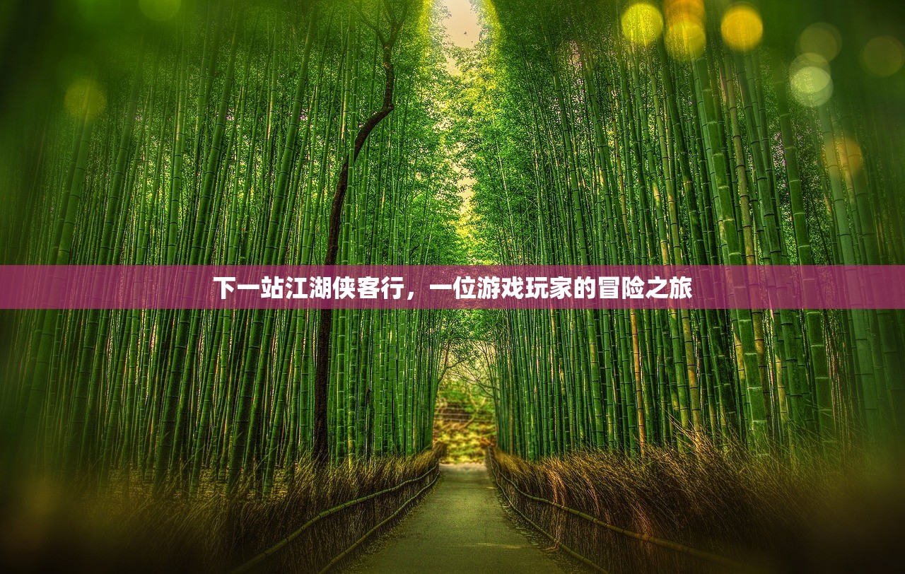 下一站江湖侠客行，一位游戏玩家的冒险之旅