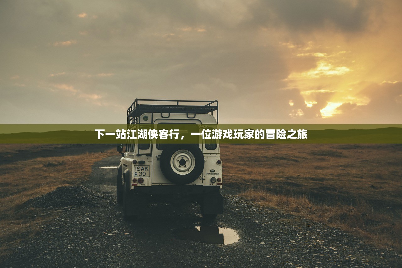 下一站江湖侠客行，一位游戏玩家的冒险之旅