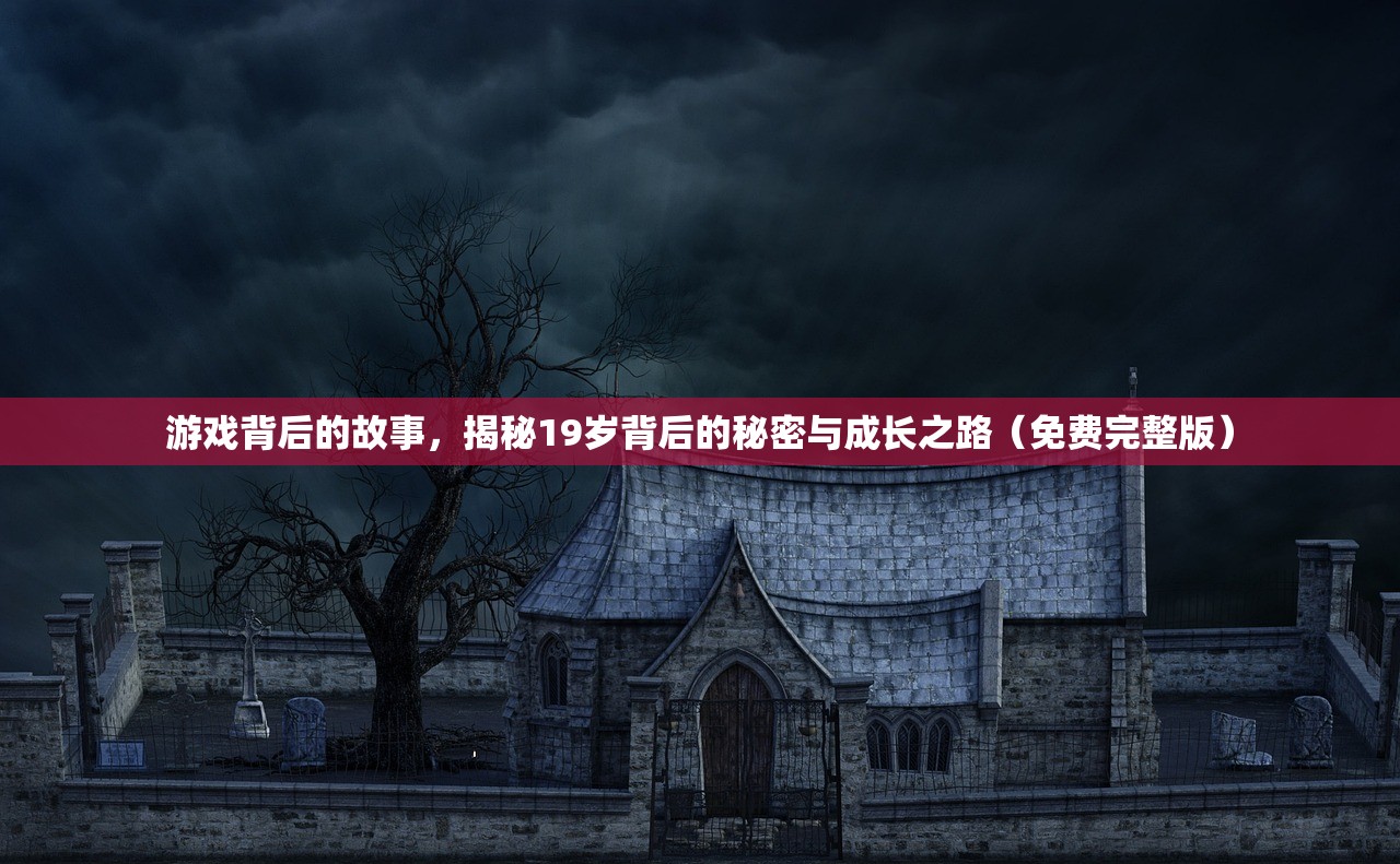 游戏背后的故事，揭秘19岁背后的秘密与成长之路（免费完整版）