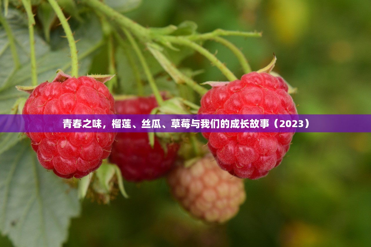 青春之味，榴莲、丝瓜、草莓与我们的成长故事（2023）