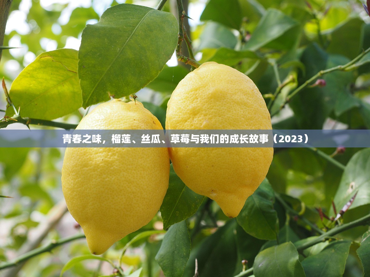 青春之味，榴莲、丝瓜、草莓与我们的成长故事（2023）