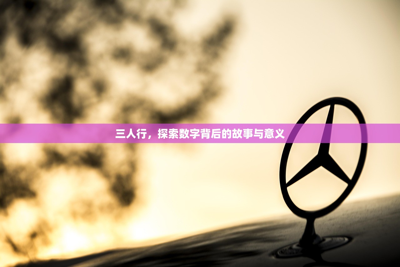 三人行，探索数字背后的故事与意义