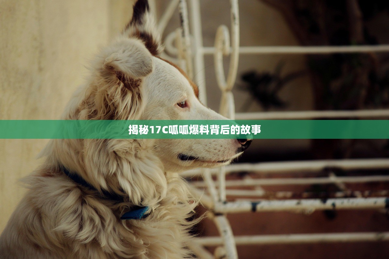 揭秘17C呱呱爆料背后的故事