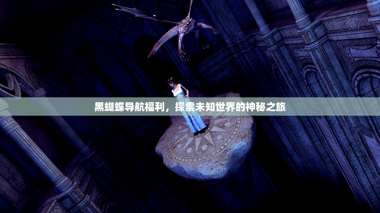 黑蝴蝶导航福利，探索未知世界的神秘之旅