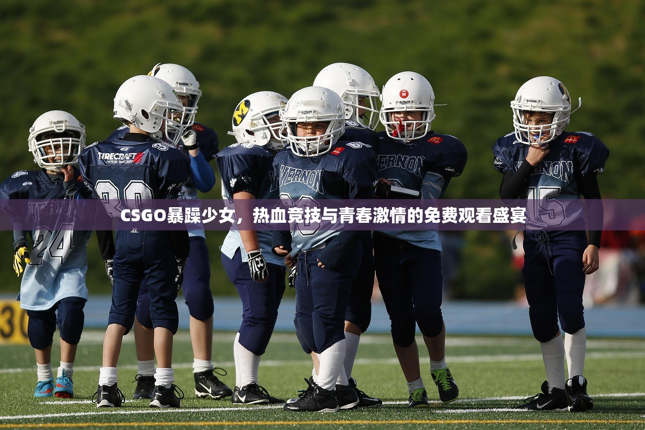 CSGO暴躁少女，热血竞技与青春激情的免费观看盛宴